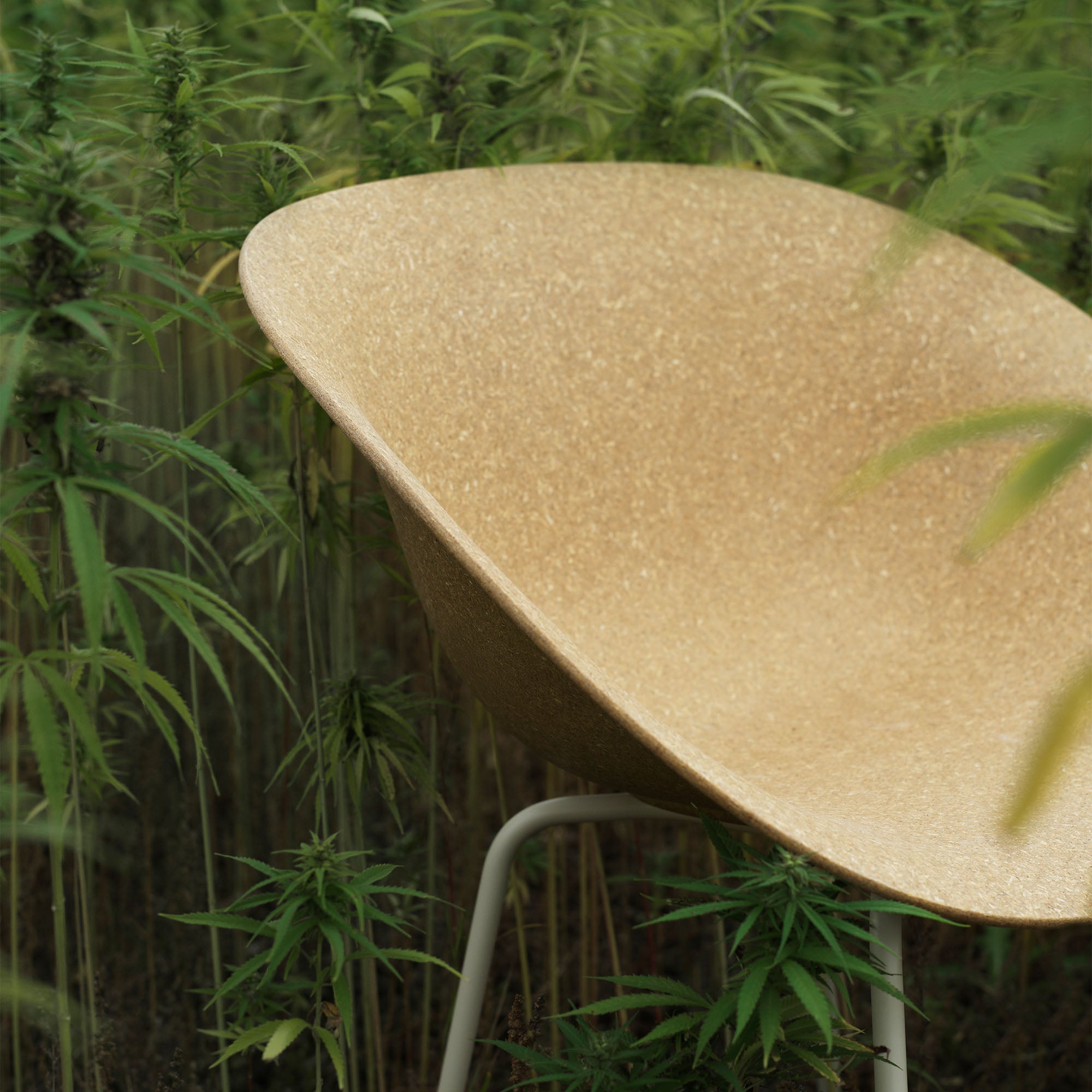 Mat Armchair, scaun de dining cu cotiere