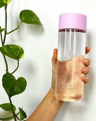 Recipient pentru lichide Frank Green