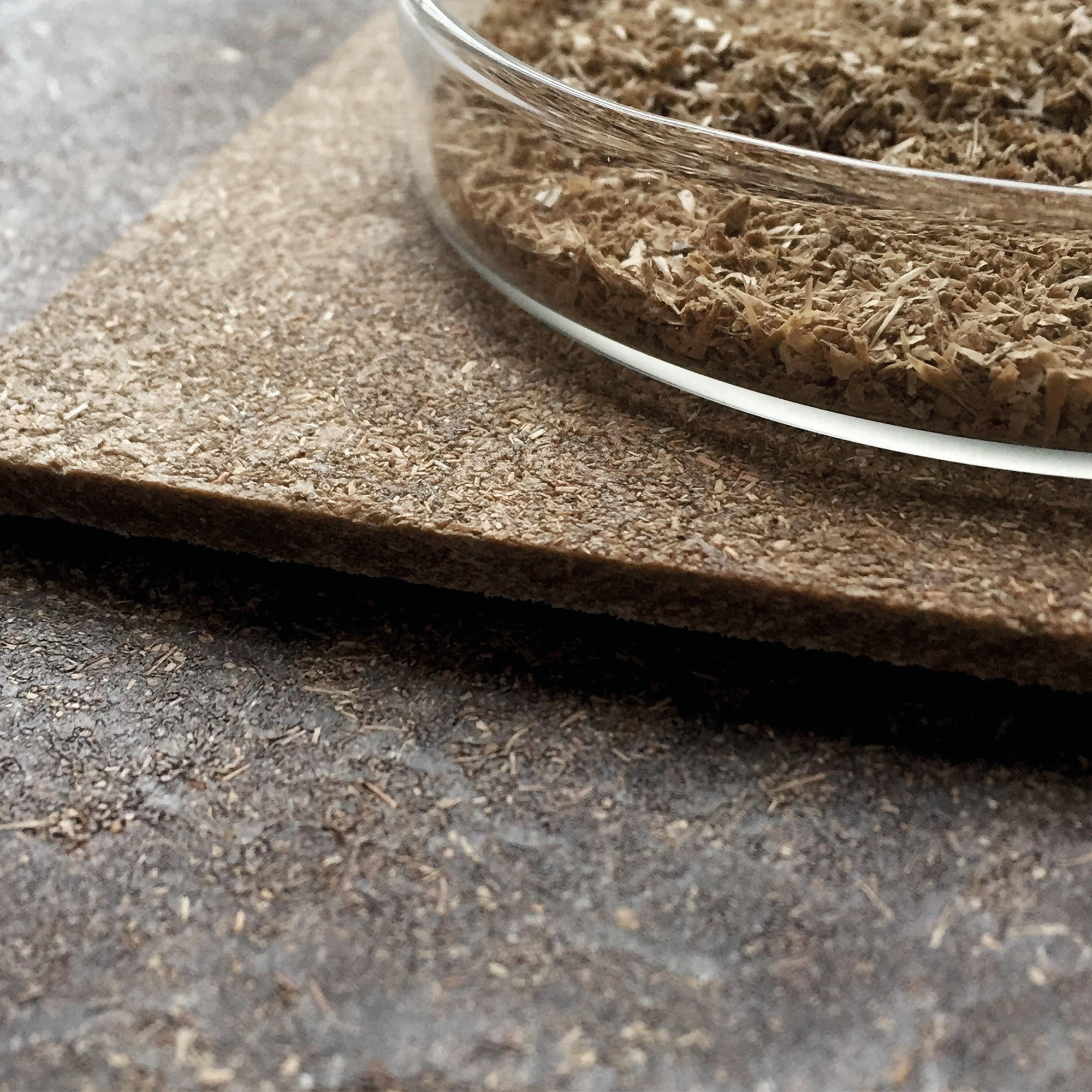 Earth Stool Backrest, scaun de bar