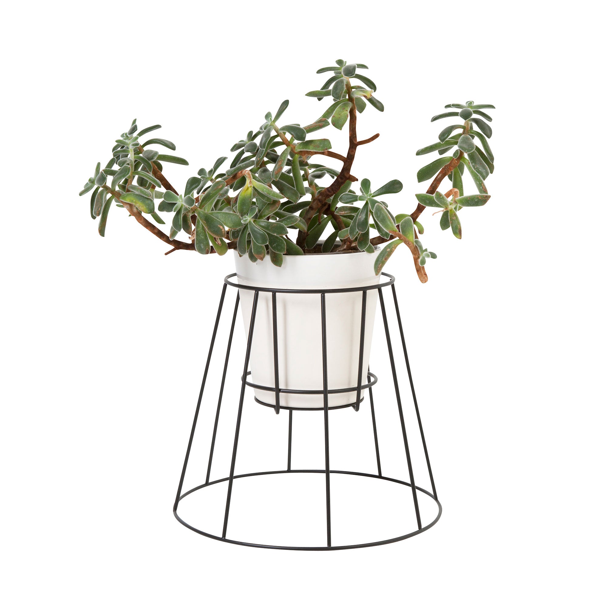 Cibele h30 cm, suport pentru ghivece