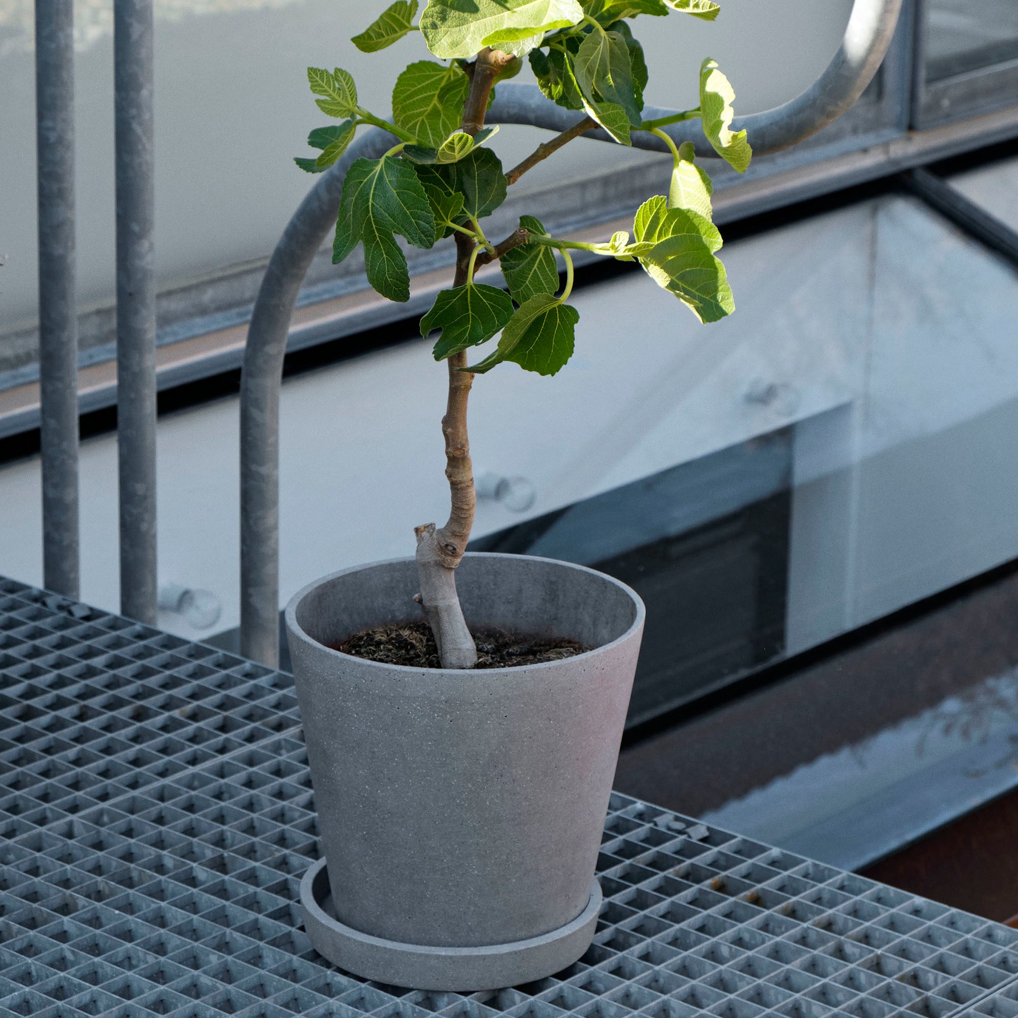 Flowerpot with saucer XXL set ghiveci și farfurie