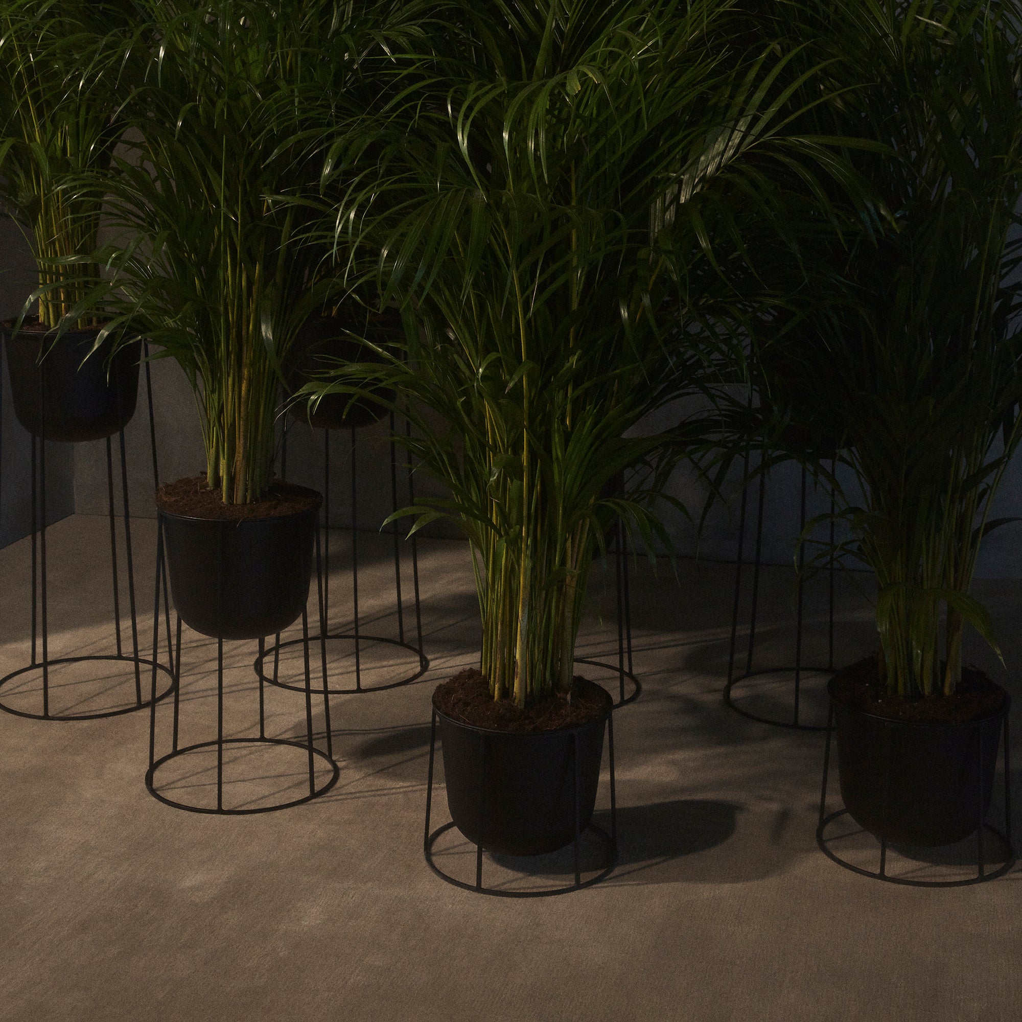 Wire base, suport h60 cm