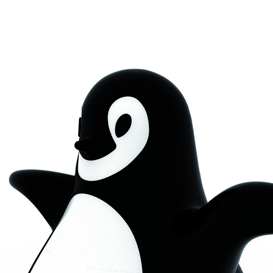 Pingy