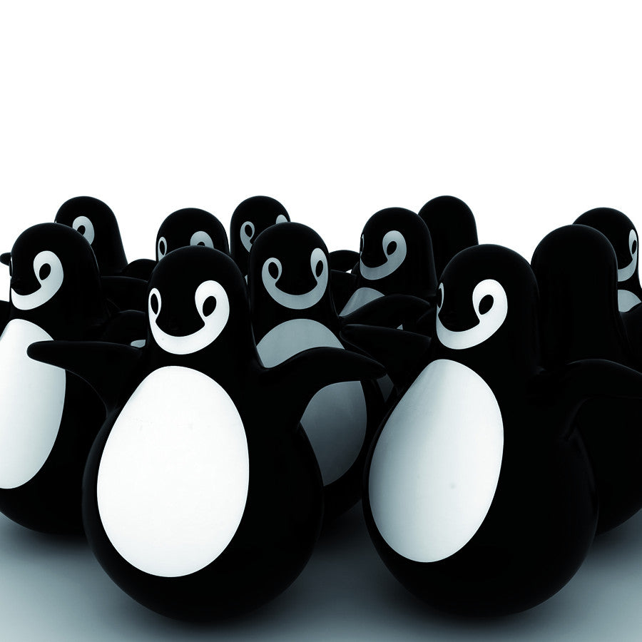 Pingy