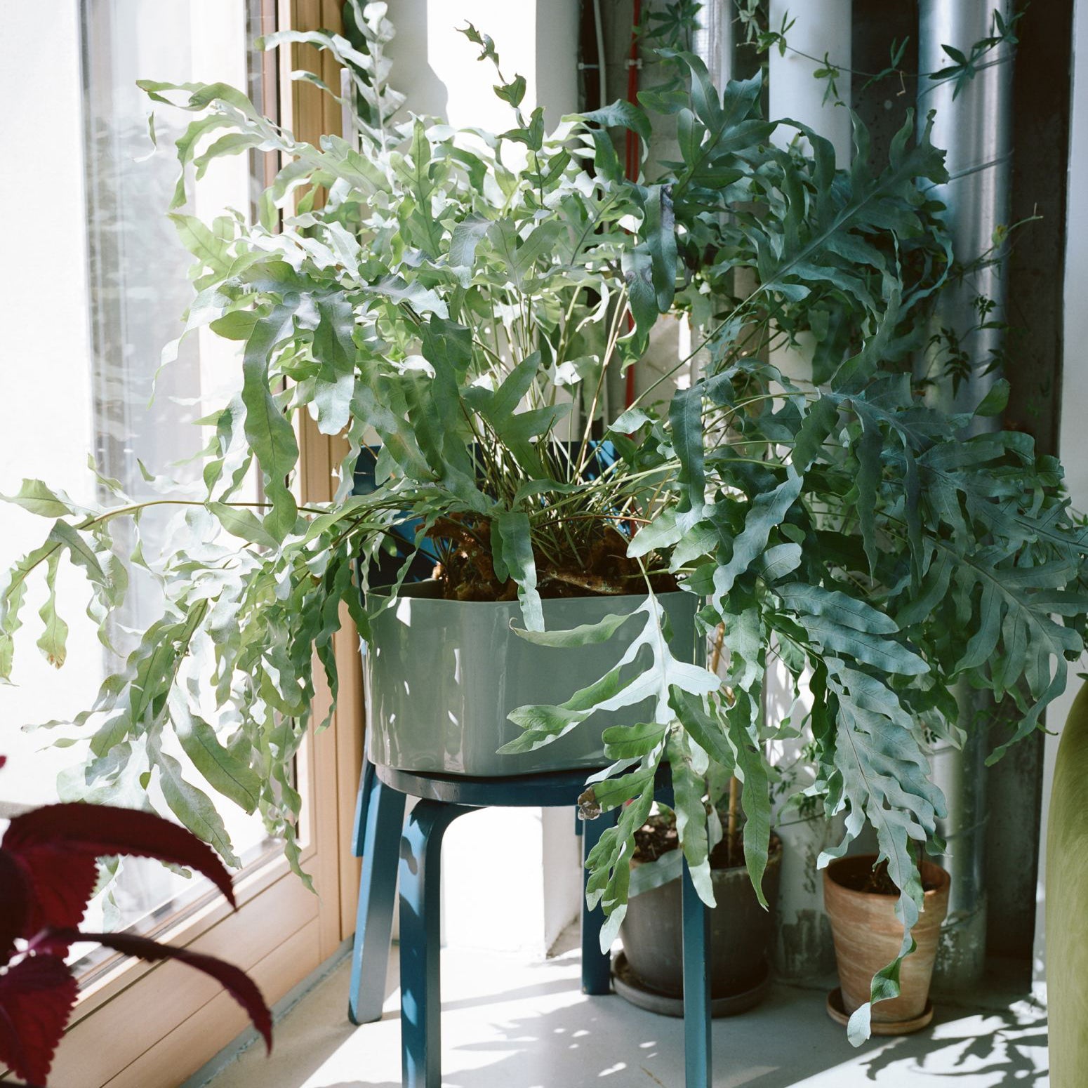 Riihitie Plant Pot A, ghiveci mic