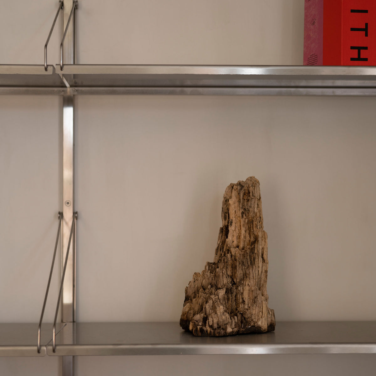Shelf Library Double Section Stainless Steel, bibliotecă modulară dublă din metal