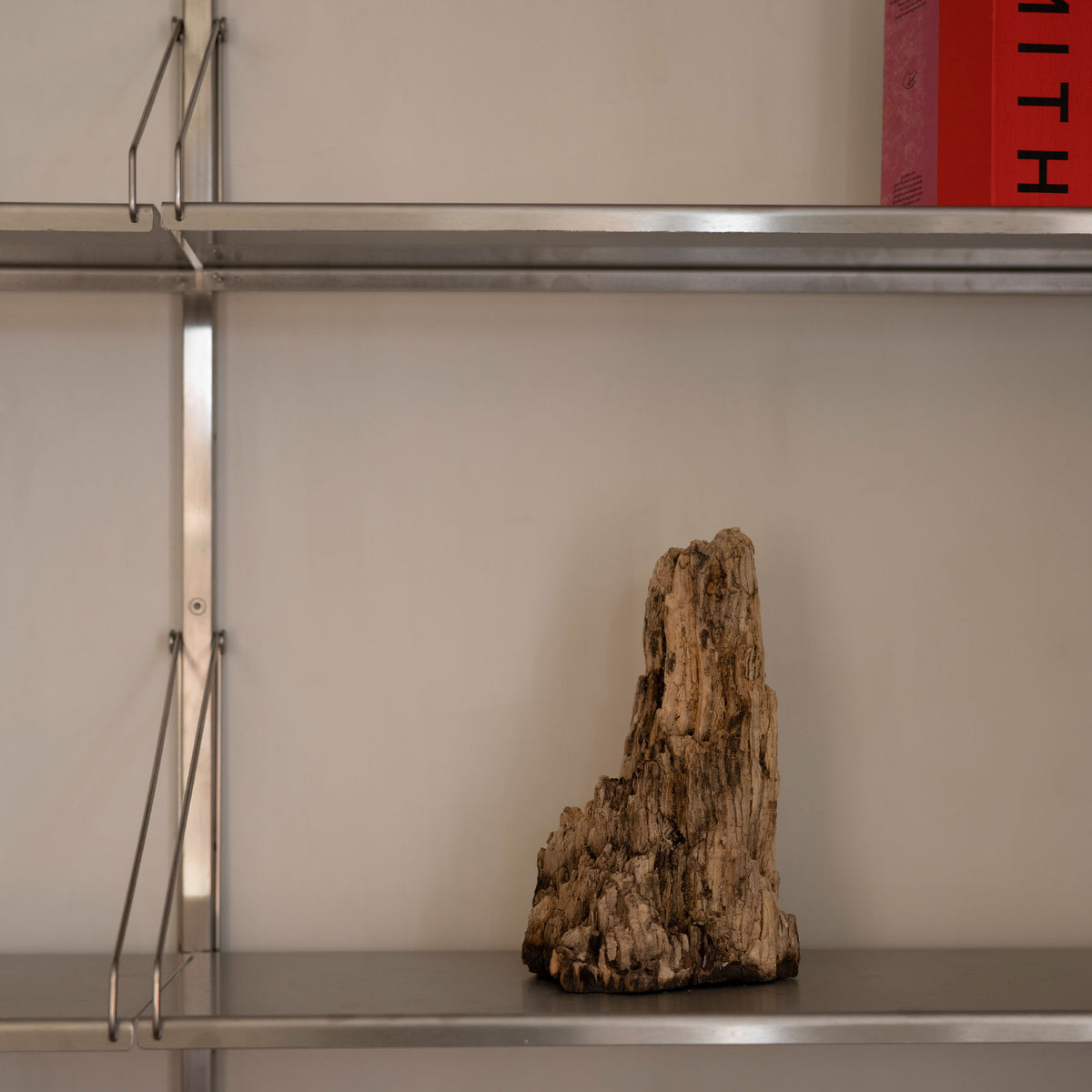 Library Shelf Stainless Steel, raft individual lungime 60 cm