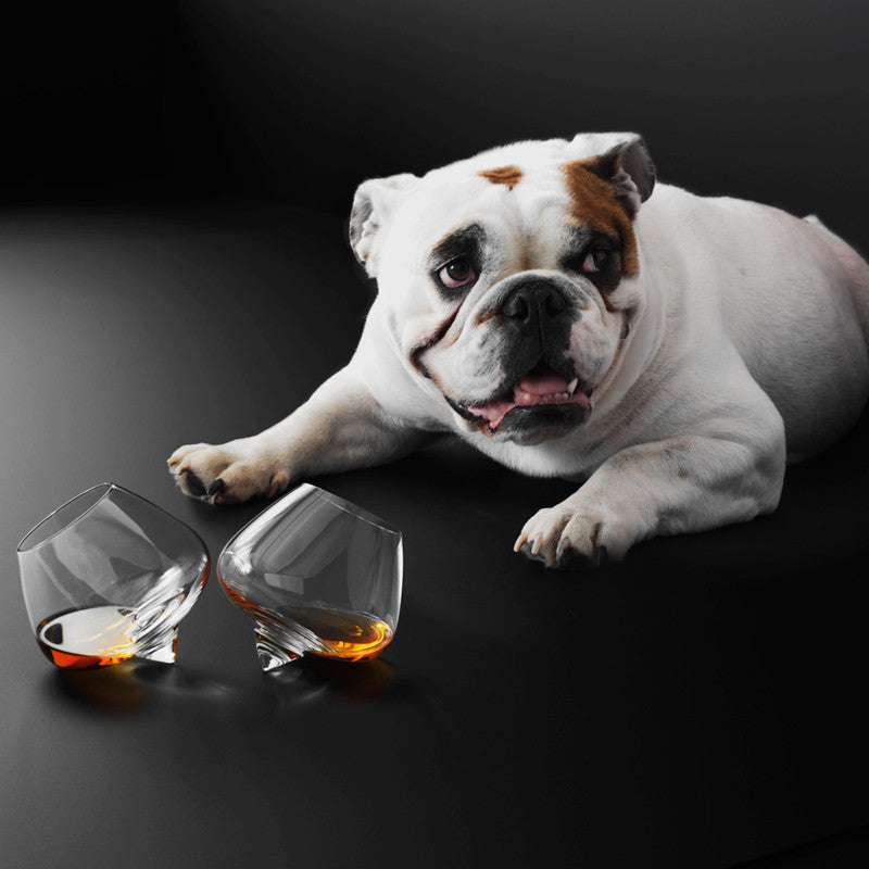 Pahare de cognac produse de Normann Copenhagen (ambient with dog)